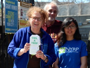 Yes, a tree spring tree giveaway season